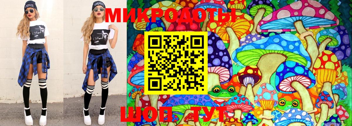 Шуя  Псилоцибиновые грибы Psilocybine cubensis  Вход с VPN 