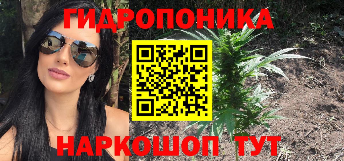 Бошки Шишки марихуана Шуя